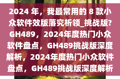 2024 年，我最常用的 8 款小众软件效版落究析领_挑战版?GH489，2024年度热门小众软件盘点，GH489挑战版深度解析，2024年度热门小众软件盘点，GH489挑战版深度解析