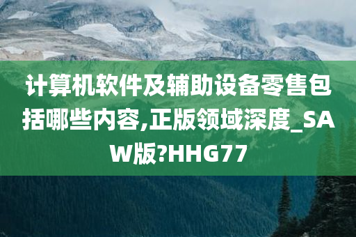 计算机软件及辅助设备零售包括哪些内容,正版领域深度_SAW版?HHG77