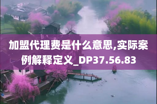 加盟代理费是什么意思,实际案例解释定义_DP37.56.83