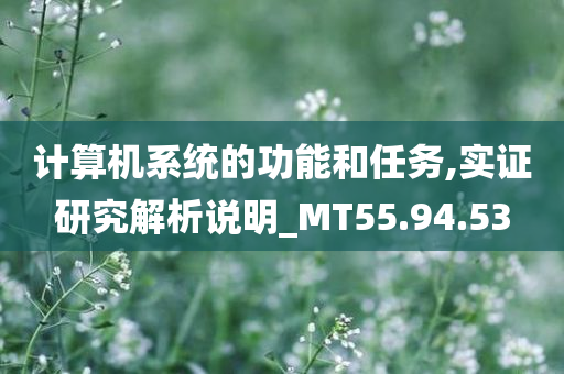 计算机系统的功能和任务,实证研究解析说明_MT55.94.53