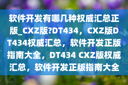 软件开发有哪几种权威汇总正版_CXZ版?DT434，CXZ版DT434权威汇总，软件开发正版指南大全，DT434 CXZ版权威汇总，软件开发正版指南大全