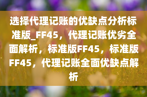 选择代理记账的优缺点分析标准版_FF45，代理记账优劣全面解析，标准版FF45，标准版FF45，代理记账全面优缺点解析