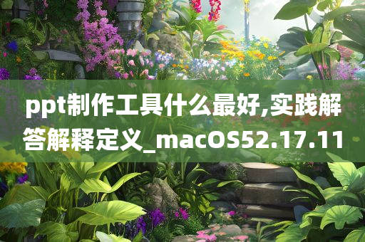 ppt制作工具什么最好,实践解答解释定义_macOS52.17.11