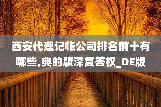 西安代理记帐公司排名前十有哪些,典的版深复答权_DE版