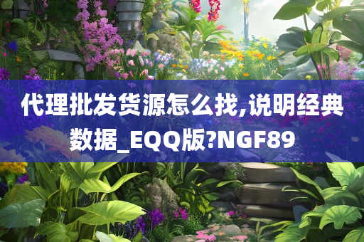 代理批发货源怎么找,说明经典数据_EQQ版?NGF89