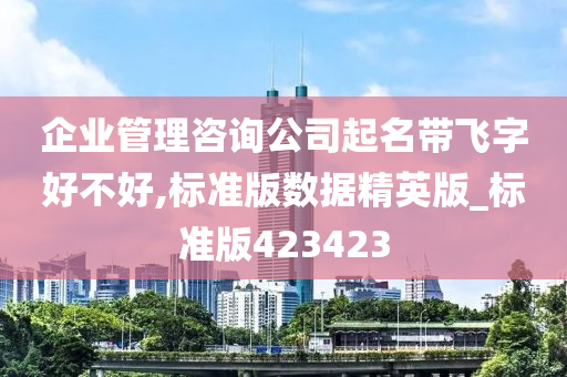 企业管理咨询公司起名带飞字好不好,标准版数据精英版_标准版423423