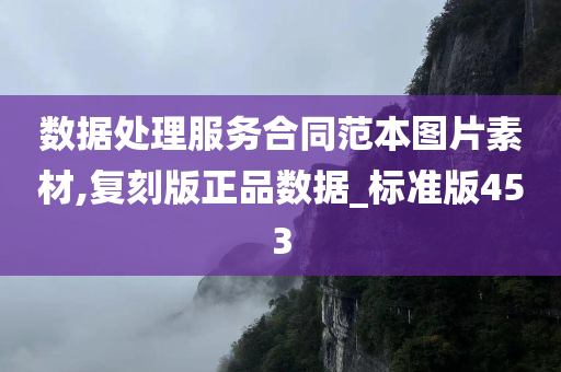 数据处理服务合同范本图片素材,复刻版正品数据_标准版453