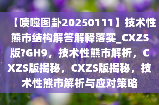 【喷嚏图卦20250111】技术性熊市结构解答解释落实_CXZS版?GH9，技术性熊市解析，CXZS版揭秘，CXZS版揭秘，技术性熊市解析与应对策略