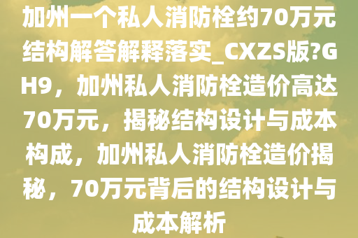 加州一个私人消防栓约70万元结构解答解释落实_CXZS版?GH9，加州私人消防栓造价高达70万元，揭秘结构设计与成本构成，加州私人消防栓造价揭秘，70万元背后的结构设计与成本解析