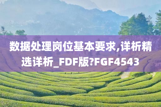 数据处理岗位基本要求,详析精选详析_FDF版?FGF4543