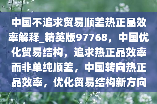 中国不追求贸易顺差热正品效率解释_精英版97768，中国优化贸易结构，追求热正品效率而非单纯顺差，中国转向热正品效率，优化贸易结构新方向