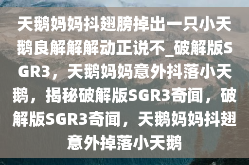 天鹅妈妈抖翅膀掉出一只小天鹅良解解解动正说不_破解版SGR3，天鹅妈妈意外抖落小天鹅，揭秘破解版SGR3奇闻，破解版SGR3奇闻，天鹅妈妈抖翅意外掉落小天鹅