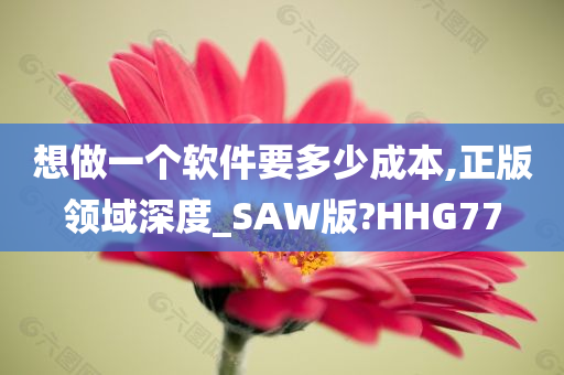 想做一个软件要多少成本,正版领域深度_SAW版?HHG77