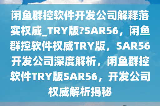 闲鱼群控软件开发公司解释落实权威_TRY版?SAR56，闲鱼群控软件权威TRY版，SAR56开发公司深度解析，闲鱼群控软件TRY版SAR56，开发公司权威解析揭秘