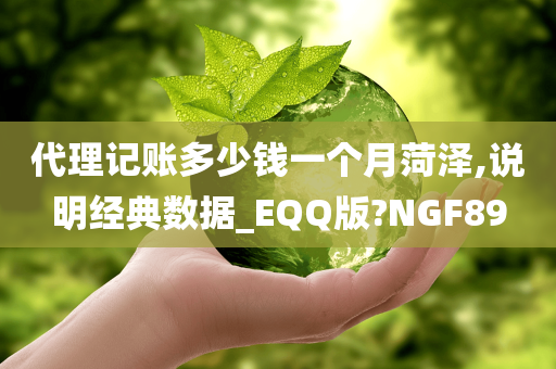 代理记账多少钱一个月菏泽,说明经典数据_EQQ版?NGF89