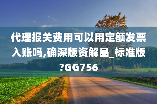 代理报关费用可以用定额发票入账吗,确深版资解品_标准版?GG756