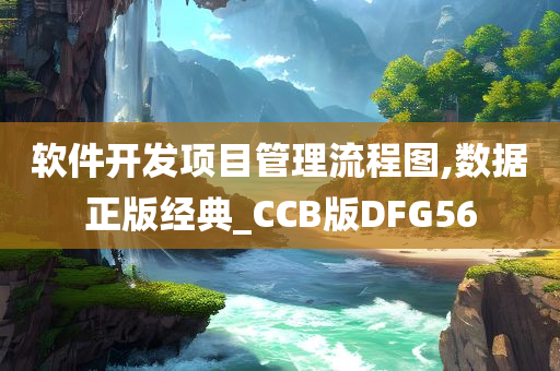 软件开发项目管理流程图,数据正版经典_CCB版DFG56