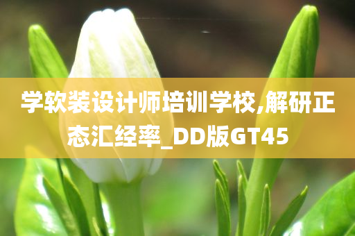 学软装设计师培训学校,解研正态汇经率_DD版GT45