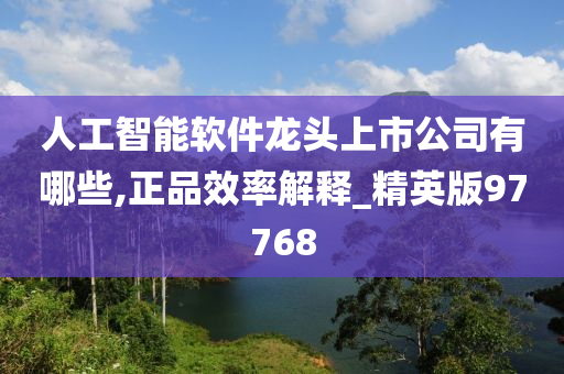 人工智能软件龙头上市公司有哪些,正品效率解释_精英版97768