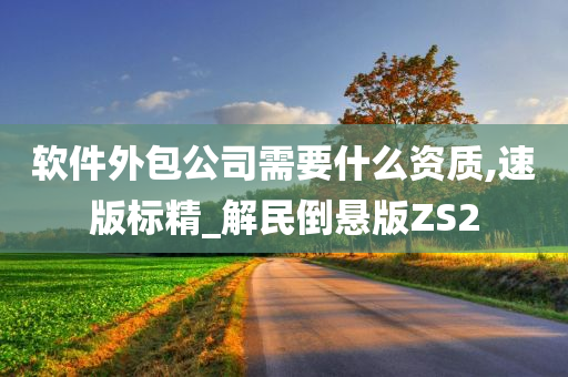 软件外包公司需要什么资质,速版标精_解民倒悬版ZS2