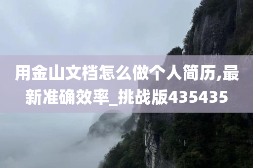 用金山文档怎么做个人简历,最新准确效率_挑战版435435