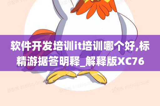 软件开发培训it培训哪个好,标精游据答明释_解释版XC76