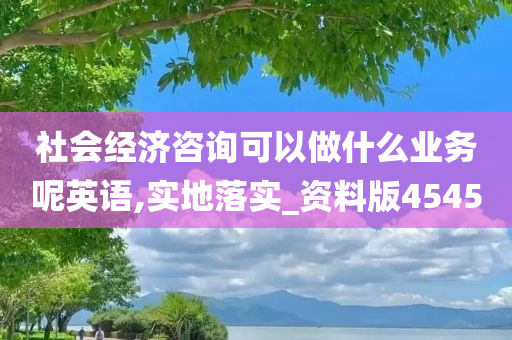 社会经济咨询可以做什么业务呢英语,实地落实_资料版4545