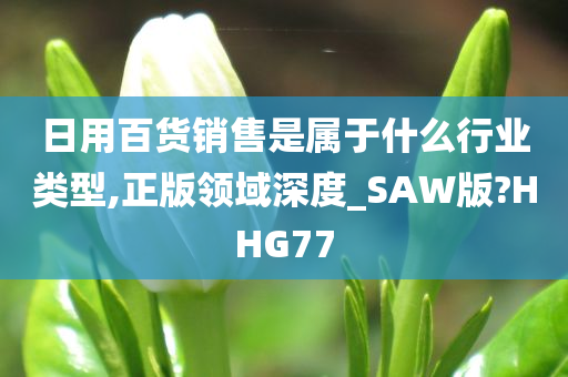 日用百货销售是属于什么行业类型,正版领域深度_SAW版?HHG77