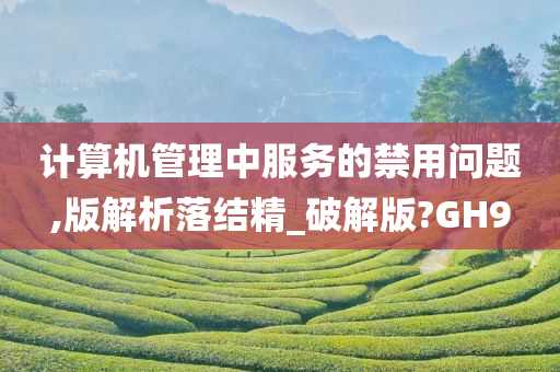 计算机管理中服务的禁用问题,版解析落结精_破解版?GH9