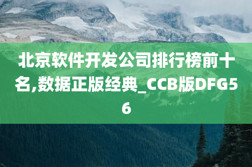 北京软件开发公司排行榜前十名,数据正版经典_CCB版DFG56