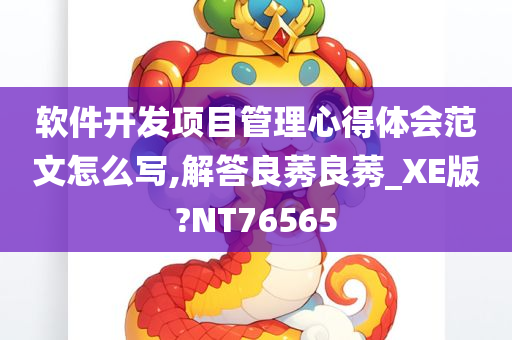 软件开发项目管理心得体会范文怎么写,解答良莠良莠_XE版?NT76565