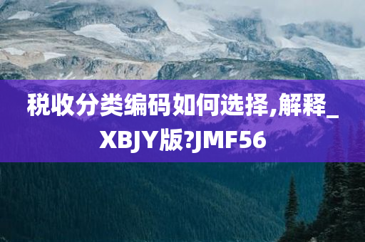 税收分类编码如何选择,解释_XBJY版?JMF56