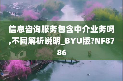 信息咨询服务包含中介业务吗,不同解析说明_BYU版?NF8786