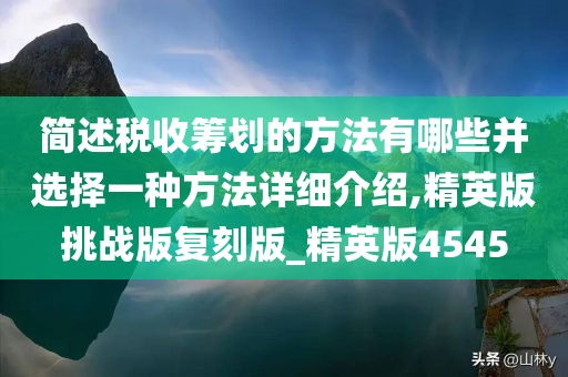 简述税收筹划的方法有哪些并选择一种方法详细介绍,精英版挑战版复刻版_精英版4545