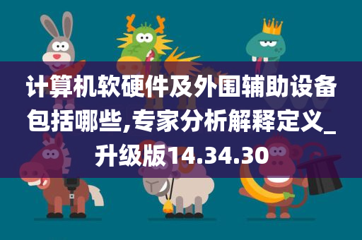 计算机软硬件及外围辅助设备包括哪些,专家分析解释定义_升级版14.34.30