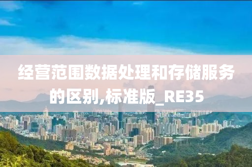 经营范围数据处理和存储服务的区别,标准版_RE35